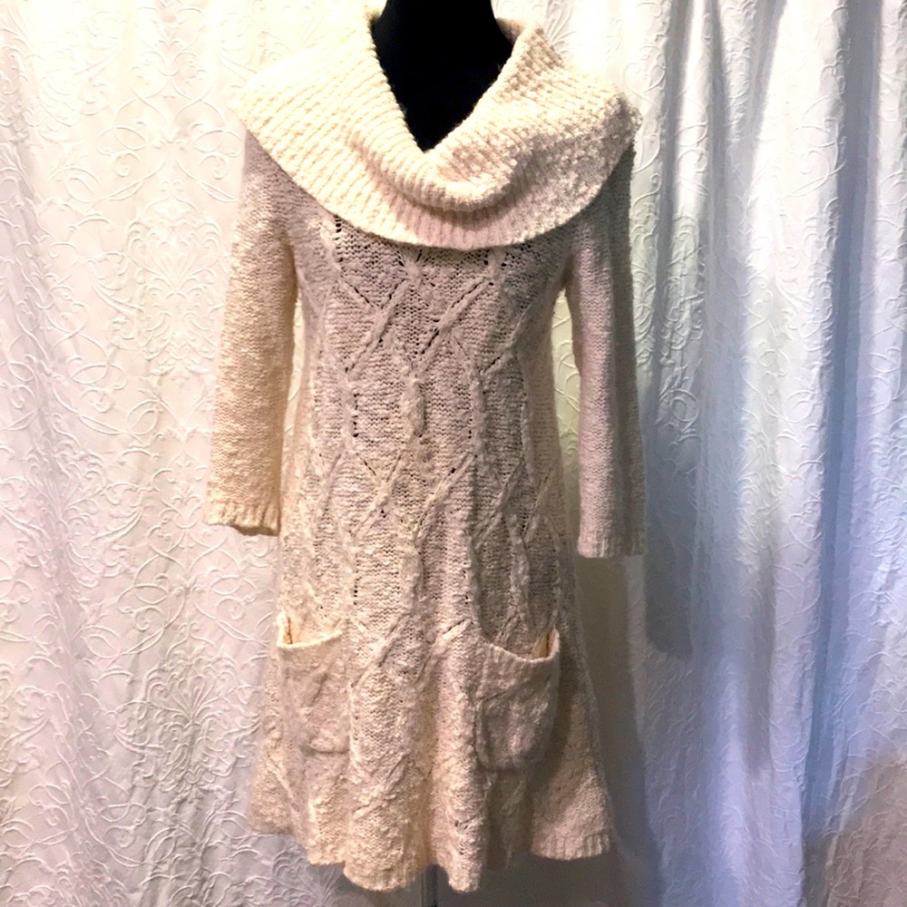 Sleeping on Snow Cowel Neck Tunic/Sweater Dress
